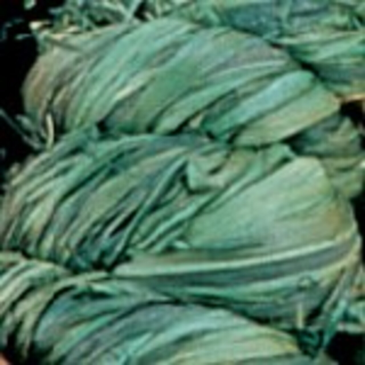 The Ribbon People Green Forest Snail Bundled Ribbon 0.25" x 300 Yards